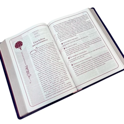 image_229706b5-811c-4bbb-8900-8c9bcc23a8e1