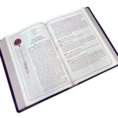 image_69655545-3e72-474f-8461-e1b0d6c1db79