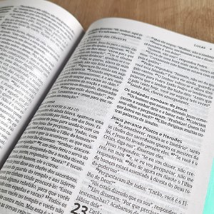 Bíblia Mulher Extraordinária | NVI | Hernandes Dias Lopes | Capa Dura Turquesa