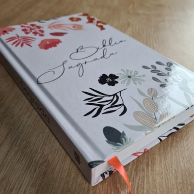 image_bfab0548-8d2f-477f-b44a-792154c99f47