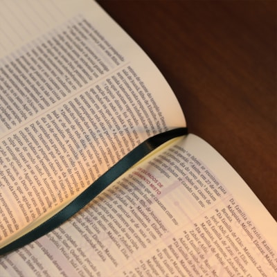 image_749562e8-1263-4f92-b9ce-035138db6e6f