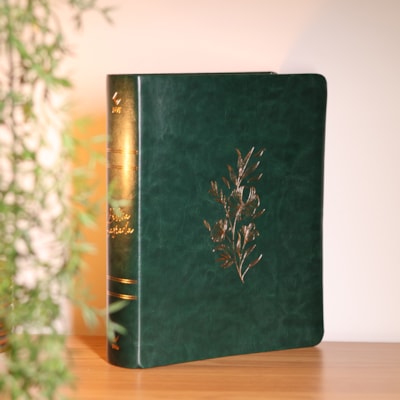 Segunda imagem do produto Bíblia Mulheres Floral | Viviane Martinello | NVT | Espaço Para Anotações | Capa Luxo Verde Musgo
