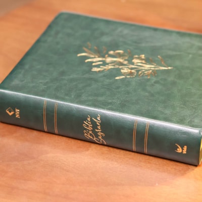 image_ea249c54-05d6-4edb-883a-e5b302f57917