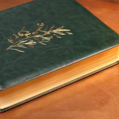 image_9a63225a-b7d2-4bdf-9716-15e95f239a81