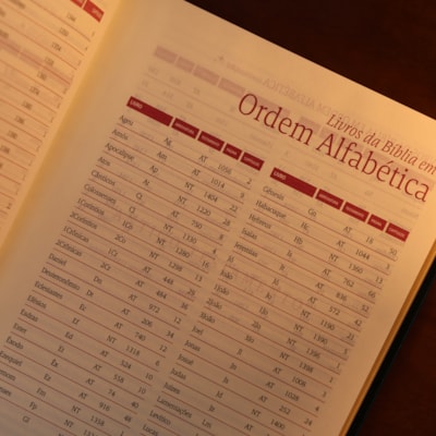 image_c23ea0f6-75a8-4f8a-89a6-ae8fa4fbbff6