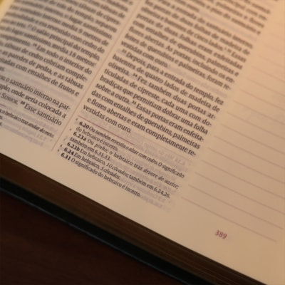 image_a22441ce-330b-4acc-bd37-881d8706f6b2