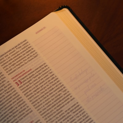 image_6a42cf6f-26ec-49fa-84b7-01839ddfa710