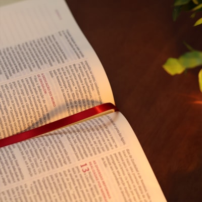 image_4b2b5747-b377-4a0e-8f12-3dea9184c499