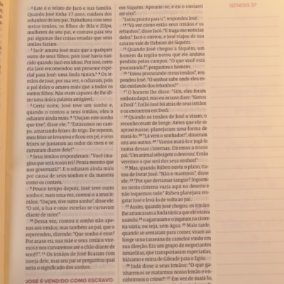 image_89067fbb-09f0-430b-b543-238df4ffe2a4