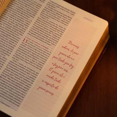 image_44eaf1ac-c5c1-4485-adc1-7fadd7cc82d6