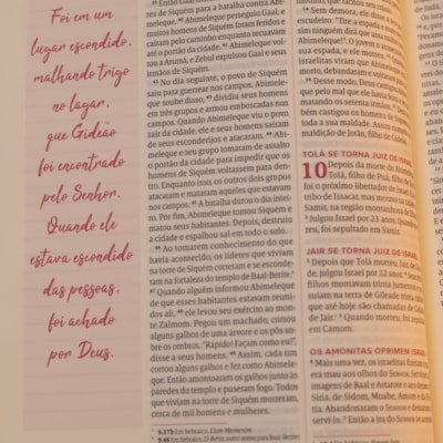 image_ea49ae9a-a0a7-42a1-ade2-da2a9f2d7383