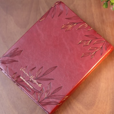 image_6dba8336-1cce-44c0-be56-7b6c0521a23c