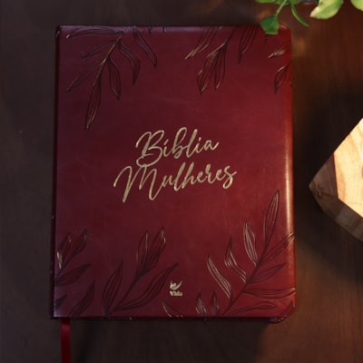 image_d135d8a1-2bd0-4c10-b300-ca3286f162c4