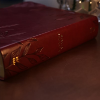 image_b9ce5f67-bdd9-434f-915c-1868a3c446a2