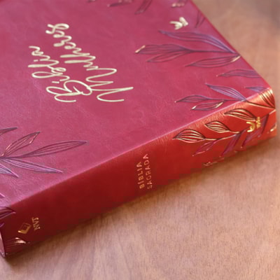 image_02806f05-e27f-424a-87f5-0918abfc3a16