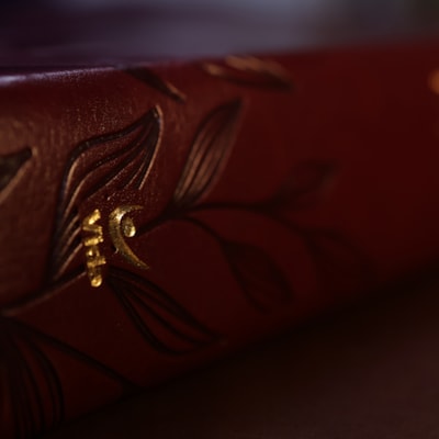 image_102478b7-131a-474d-bacc-7d3b457289e6