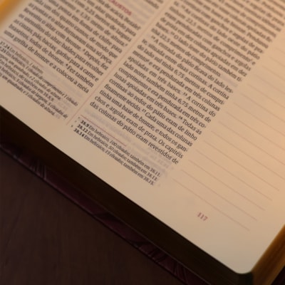 image_cd31d80b-193e-4f95-88da-c624ffa710fb