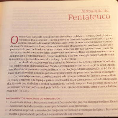 image_4fda346d-114b-4ebf-af3f-1b58a9dce81f