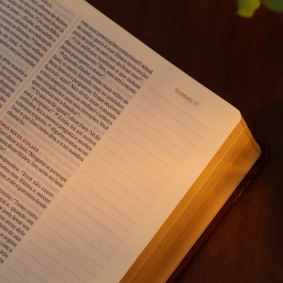 image_39536750-28fe-4dce-8e79-8fe203f35f8a