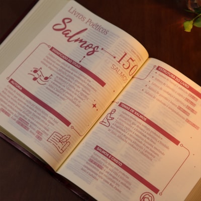 image_387dd815-5997-4310-955c-be3803e3f3e8