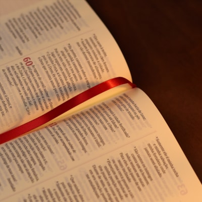 image_9078cec1-f526-49fe-9187-7cd6b03d6312