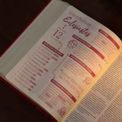 image_5e5b3996-ddd7-4bc0-88a2-1cc42b3c28c5