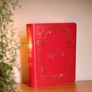 Segunda imagem do produto Bíblia Mulheres Frame e Floral | Viviane Martinello | NVT | Espaço Para Anotações | Capa Luxo Rosa