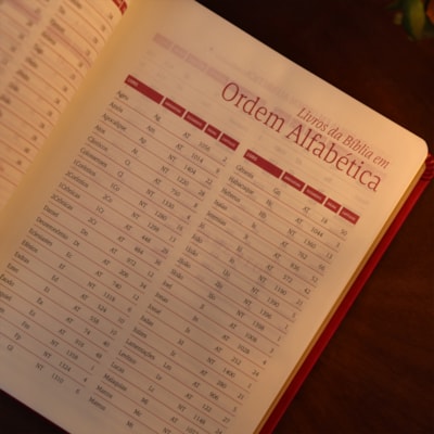 image_08aaa99a-3410-4a3a-92c6-ad539e5f984a