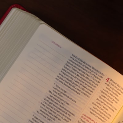 image_d8578b75-eab0-4ef8-ba89-e09d5ead5454