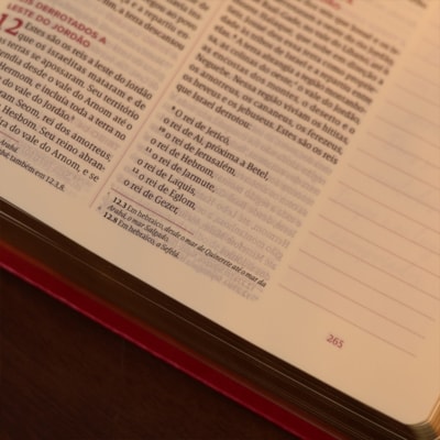 image_9ce9986d-defe-412c-8ee9-b2b9c7ffdf7a