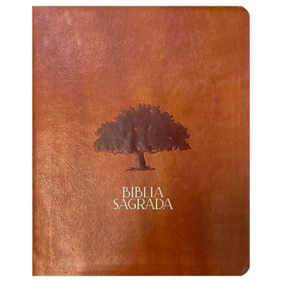 Imagem Principal - d67bf502-0408-4c02-958c-7249e31498e7