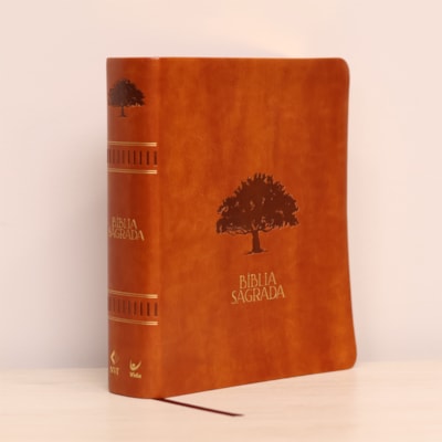 image_488fb2d5-9ce8-46c8-bd92-8c207ada5972