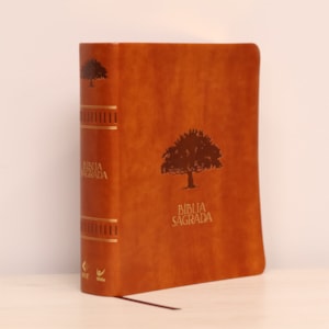 Segunda imagem do produto Bíblia Mulheres | NVT | Viviane Martinello | Figueira