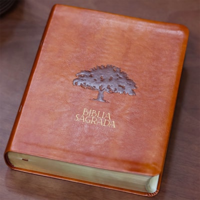 image_25f054a8-127d-40c2-9d45-f16c2609cfe5