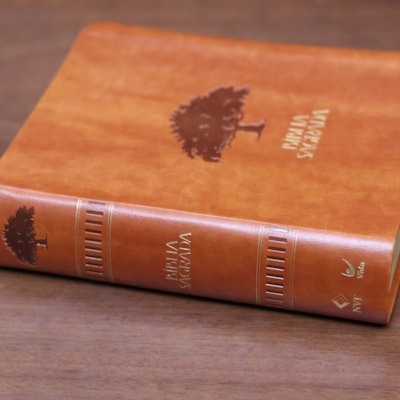 image_e5464465-ede3-440c-8d45-a3229d1023f3