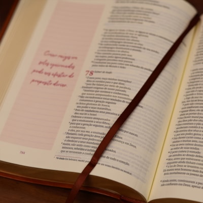 image_c6355cfe-89e7-440e-95bb-f6bcf81cd3ae