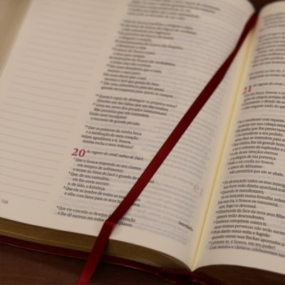 image_75fc5b3c-dcd5-4ebb-8af6-b05ef7b9f740