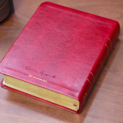 image_2e95c6fa-dccd-4884-9035-314f56eb4520