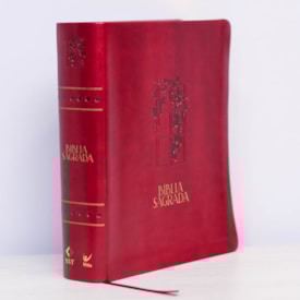 Segunda imagem do produto Bíblia Mulheres | NVT | Viviane Martinello | Videira Vinho