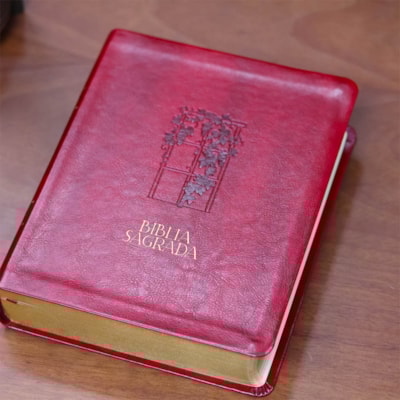 image_0337fabc-90bd-41a3-8e7b-10fec04ee52e