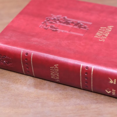 image_9d0f7fb4-4c31-498f-9d61-981c0702d6b6