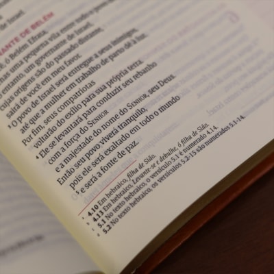 image_6a161eca-e96d-4019-9ce7-4624b4e33a92