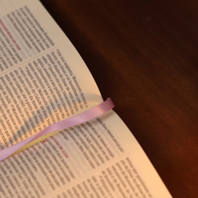 image_1b95b11a-3c63-4f78-87c7-2b784e3d6d66