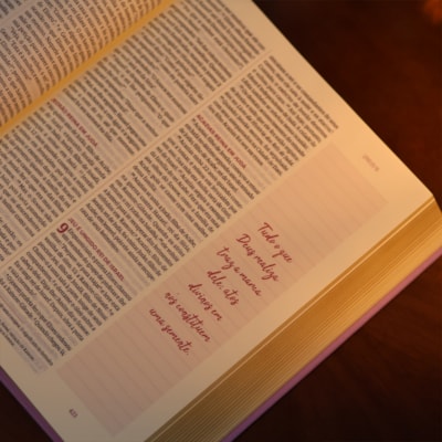 image_24db8094-5e21-4acb-ab77-76bac43d0e97