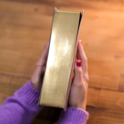 image_56b29122-bf4f-4798-b36b-45619cac8a70