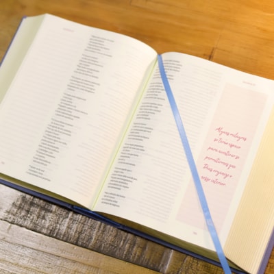 image_54319652-0b81-44ed-a7b4-7c5c2a433470