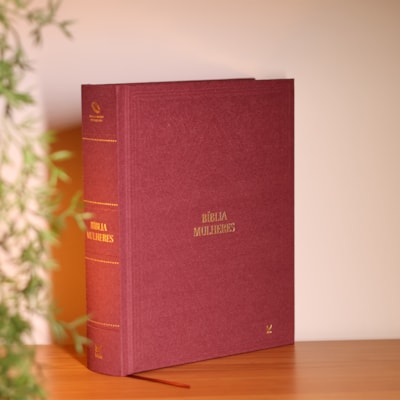 Segunda imagem do produto Bíblia Mulheres | Viviane Martinello | NAA | Espaço Para Anotações | Duas Colunas | Capa Clássica Bordô