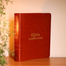 Segunda imagem do produto Bíblia Mulheres | Viviane Martinello | NAA | Espaço Para Anotações | Duas Colunas | Capa Marrom