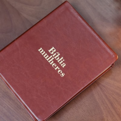 image_dff2ea42-6359-46b6-b2b5-cf8c5c441df5