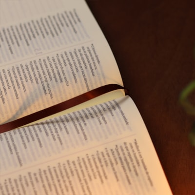 image_5294e1c9-3339-4bf9-aa7a-0e0ade425912